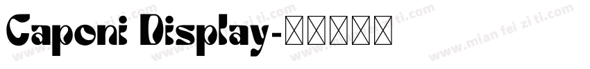 Caponi Display字体转换